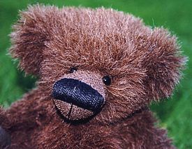 Hairy Beary!